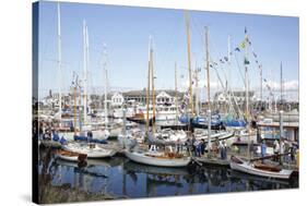 USA, Washington State, Port Townsend, Wooden Boat Festival.-Savanah Stewart-Stretched Canvas