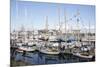 USA, Washington State, Port Townsend, Wooden Boat Festival.-Savanah Stewart-Mounted Photographic Print