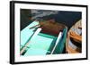 USA, Washington State, Port Townsend, Wooden Boat Festival.-Savanah Stewart-Framed Photographic Print