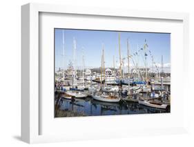 USA, Washington State, Port Townsend, Wooden Boat Festival.-Savanah Stewart-Framed Photographic Print