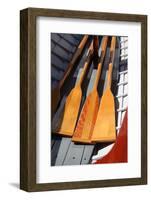 USA, Washington State, Port Townsend, Wooden Boat Festival.-Savanah Stewart-Framed Photographic Print