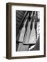 USA, Washington State, Port Townsend, Wooden Boat Festival.-Savanah Stewart-Framed Photographic Print