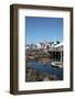 USA, Washington State, Port Townsend, Wooden Boat Festival.-Savanah Stewart-Framed Photographic Print