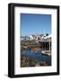 USA, Washington State, Port Townsend, Wooden Boat Festival.-Savanah Stewart-Framed Photographic Print