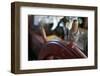 USA, Washington State, Port Townsend, Wooden Boat Festival.-Savanah Stewart-Framed Photographic Print