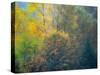 USA, Washington State, Preston and Cottonwood and Big Leaf Maple trees in fall colors-Sylvia Gulin-Stretched Canvas