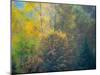 USA, Washington State, Preston and Cottonwood and Big Leaf Maple trees in fall colors-Sylvia Gulin-Mounted Photographic Print