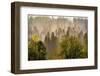 USA, Washington State, Preston Evergreens and Cottonwood trees lifting fog on hillside.-Sylvia Gulin-Framed Photographic Print