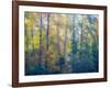 USA, Washington State, Preston with Cottonwoods in fall color-Sylvia Gulin-Framed Photographic Print