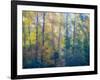 USA, Washington State, Preston with Cottonwoods in fall color-Sylvia Gulin-Framed Photographic Print