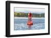 USA, Washington State, Puget Sound. California Sea Lions circling channel marker buoy.-Trish Drury-Framed Photographic Print