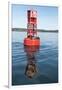 USA, Washington State, Puget Sound. Dali-esque reflection, channel marker with California Sea Lions-Trish Drury-Framed Photographic Print