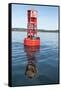 USA, Washington State, Puget Sound. Dali-esque reflection, channel marker with California Sea Lions-Trish Drury-Framed Stretched Canvas