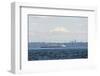 USA, Washington State, Puget Sound. Edmonds/Kingston ferry, Mt. Rainier above cloud layer-Trish Drury-Framed Photographic Print