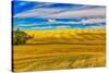USA, Washington State, Pullman. Wheat field and barn landscape.-Jaynes Gallery-Stretched Canvas
