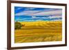 USA, Washington State, Pullman. Wheat field and barn landscape.-Jaynes Gallery-Framed Photographic Print