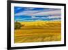 USA, Washington State, Pullman. Wheat field and barn landscape.-Jaynes Gallery-Framed Photographic Print