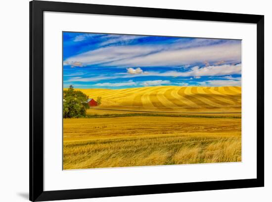 USA, Washington State, Pullman. Wheat field and barn landscape.-Jaynes Gallery-Framed Photographic Print