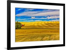 USA, Washington State, Pullman. Wheat field and barn landscape.-Jaynes Gallery-Framed Photographic Print