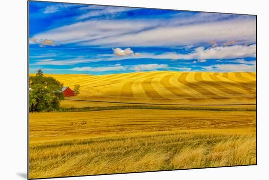 USA, Washington State, Pullman. Wheat field and barn landscape.-Jaynes Gallery-Mounted Photographic Print