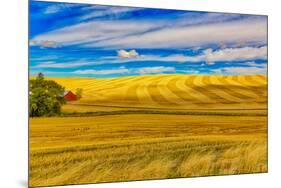 USA, Washington State, Pullman. Wheat field and barn landscape.-Jaynes Gallery-Mounted Photographic Print