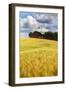 USA, Washington State. Red Barn Surrounded by Ripe Wheat (Pr)-Terry Eggers-Framed Photographic Print