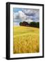 USA, Washington State. Red Barn Surrounded by Ripe Wheat (Pr)-Terry Eggers-Framed Photographic Print