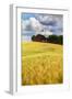 USA, Washington State. Red Barn Surrounded by Ripe Wheat (Pr)-Terry Eggers-Framed Photographic Print