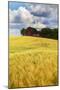 USA, Washington State. Red Barn Surrounded by Ripe Wheat (Pr)-Terry Eggers-Mounted Photographic Print