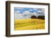 USA, Washington State. Red Barn Surrounded by Ripe Wheat (Pr)-Terry Eggers-Framed Photographic Print