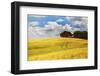 USA, Washington State. Red Barn Surrounded by Ripe Wheat (Pr)-Terry Eggers-Framed Photographic Print