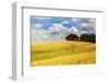 USA, Washington State. Red Barn Surrounded by Ripe Wheat (Pr)-Terry Eggers-Framed Photographic Print