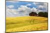 USA, Washington State. Red Barn Surrounded by Ripe Wheat (Pr)-Terry Eggers-Mounted Photographic Print