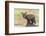 USA, Washington State. Red fox kit.-Yuri Choufour-Framed Photographic Print