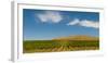 USA, Washington State, Red Mountain. Quintessence vineyard with Red Mountain in the background.-Richard Duval-Framed Photographic Print