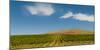 USA, Washington State, Red Mountain. Quintessence vineyard with Red Mountain in the background.-Richard Duval-Mounted Photographic Print