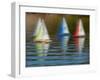 Usa, Washington State, Renton. Remote control sailboats at Gene Coulon Park on Lake Washington.-Merrill Images-Framed Photographic Print