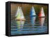 Usa, Washington State, Renton. Remote control sailboats at Gene Coulon Park on Lake Washington.-Merrill Images-Framed Stretched Canvas