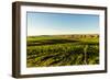 USA, Washington State, Richland. Goose Ridge vineyard at dawn.-Richard Duval-Framed Photographic Print