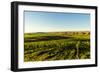 USA, Washington State, Richland. Goose Ridge vineyard at dawn.-Richard Duval-Framed Photographic Print