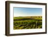 USA, Washington State, Richland. Goose Ridge vineyard at dawn.-Richard Duval-Framed Photographic Print