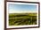 USA, Washington State, Richland. Goose Ridge vineyard at dawn.-Richard Duval-Framed Photographic Print