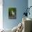 USA, Washington State, Ridgefield NWR, Great Blue Heron.-Rick A. Brown-Mounted Photographic Print displayed on a wall