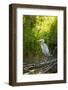 USA, Washington State, Ridgefield NWR, Great Blue Heron.-Rick A. Brown-Framed Photographic Print