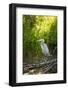 USA, Washington State, Ridgefield NWR, Great Blue Heron.-Rick A. Brown-Framed Photographic Print