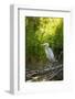 USA, Washington State, Ridgefield NWR, Great Blue Heron.-Rick A. Brown-Framed Photographic Print