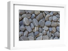 USA, Washington State. Rocks with white stripes.-Jaynes Gallery-Framed Photographic Print