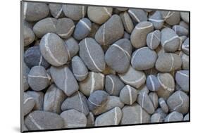 USA, Washington State. Rocks with white stripes.-Jaynes Gallery-Mounted Photographic Print