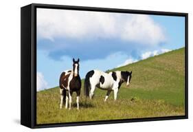 USA, Washington State, Saint John. Horses on the Hillside-Terry Eggers-Framed Stretched Canvas