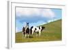 USA, Washington State, Saint John. Horses on the Hillside-Terry Eggers-Framed Photographic Print